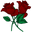 Sendflowers By Tandao Group logo